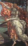 Sandro Botticelli The Birth of Venus china oil painting artist